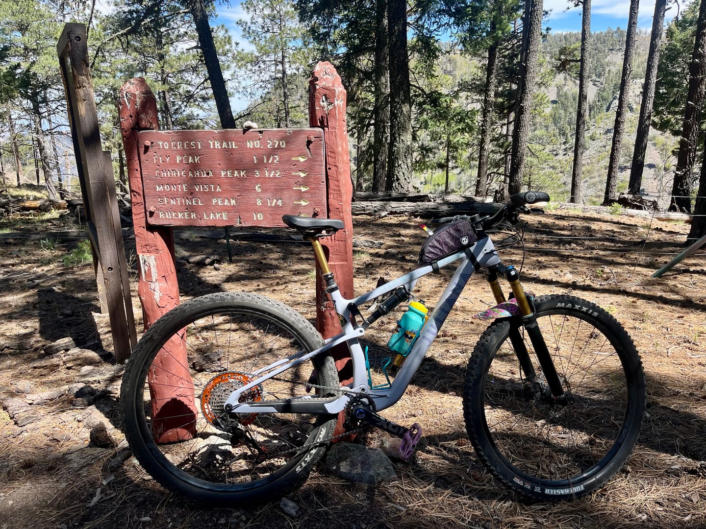 Customer photo review of Bonneville Distance