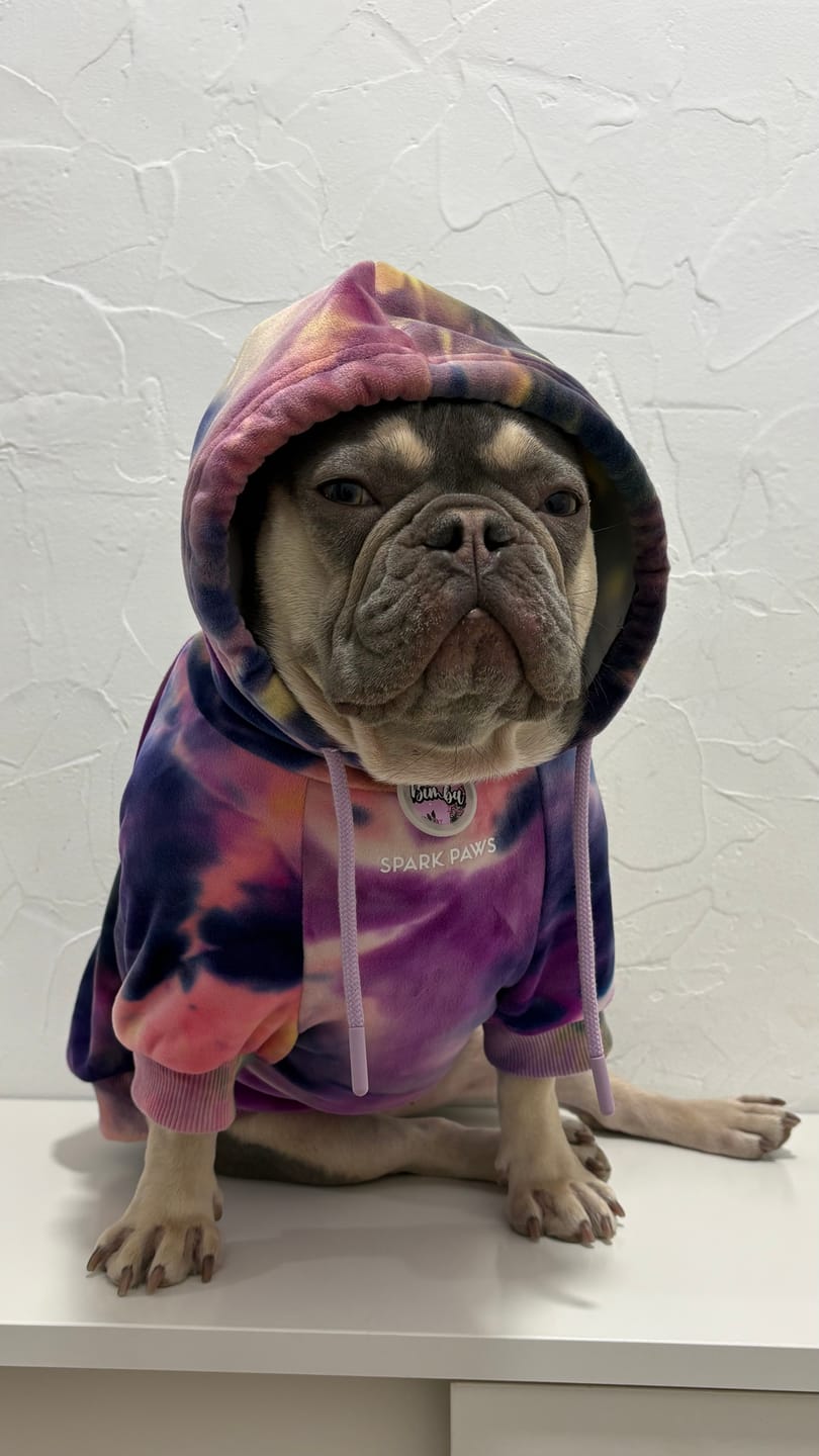Customer photo review of Velvet Dog Hoodie - Berry Lemonade