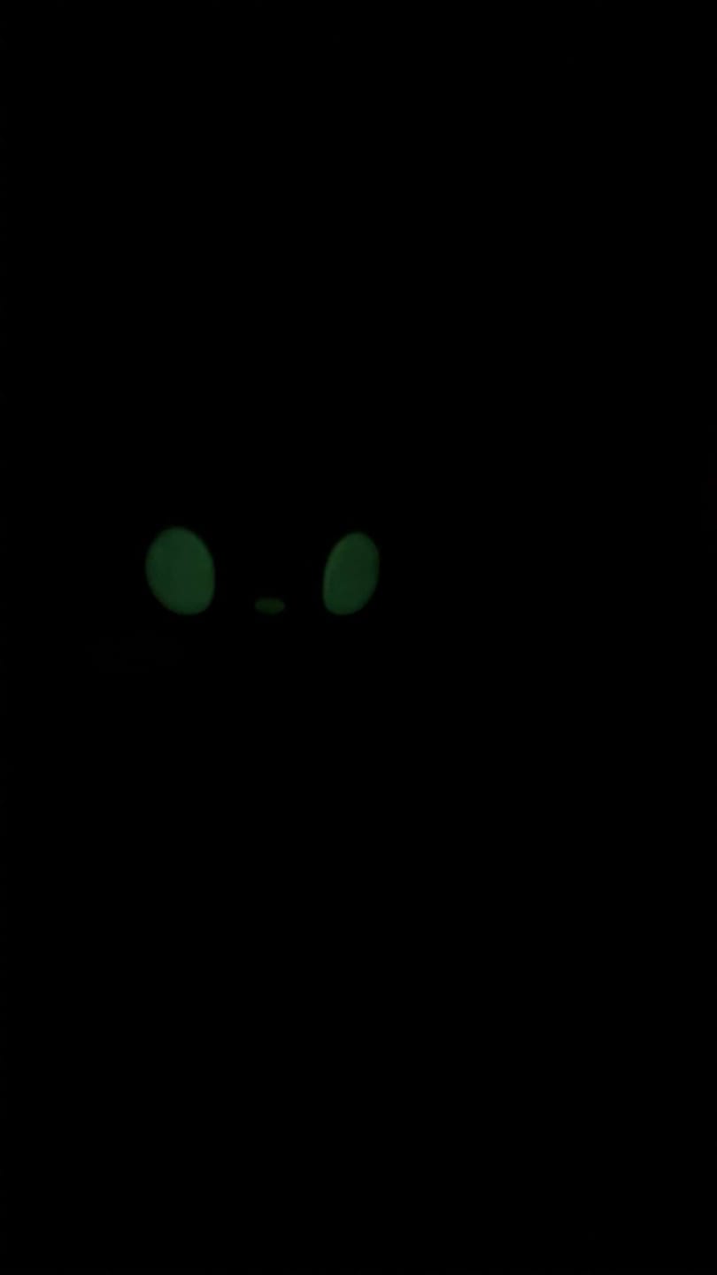 Customer photo review of Rain World - Watcher Slugcat Pillow Plush