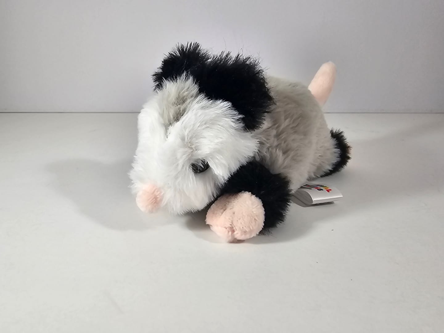 Customer photo review of Forgotten Peter the Opossum