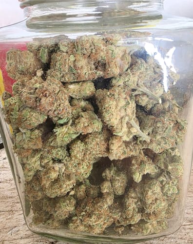 Customer photo review of Jokerz - Bulk - Indica