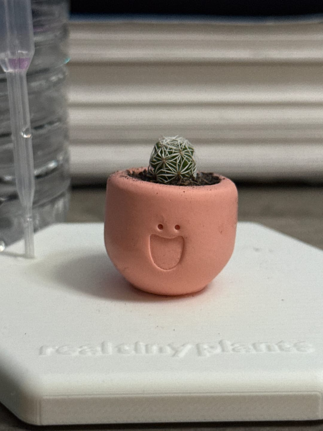 Customer photo review of LOL
