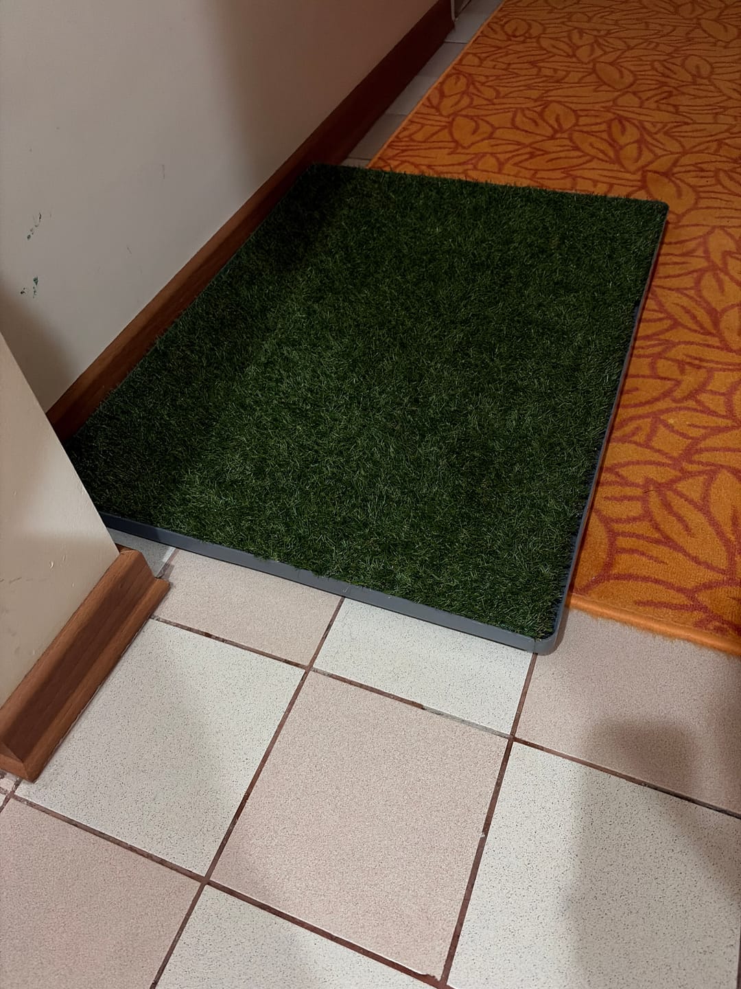 Customer photo review of GreenPee Yıkanabilir Pro Akıllı Çim Tuvalet®