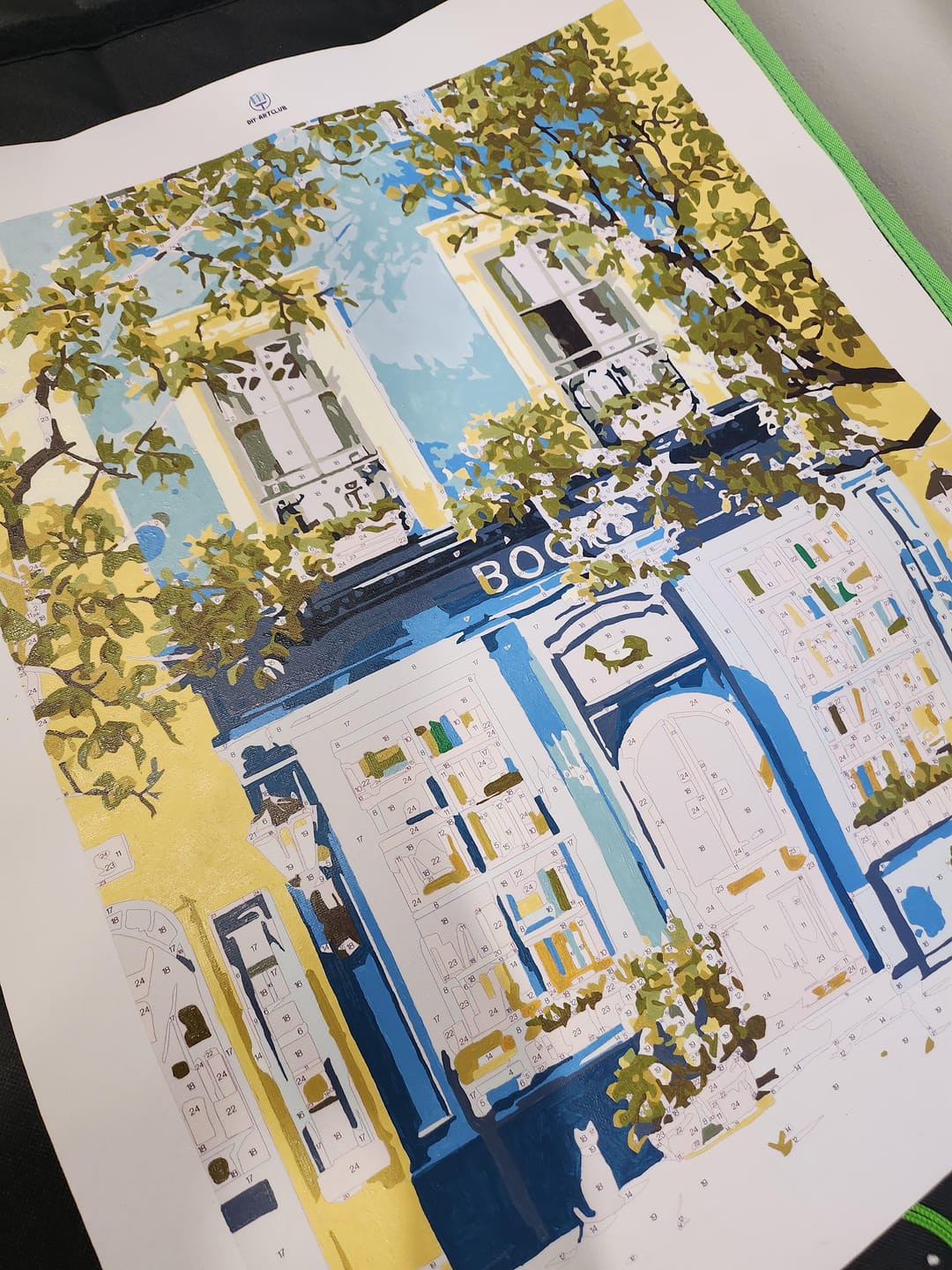 Customer photo review of The Blue Bookshop | Paint by Number