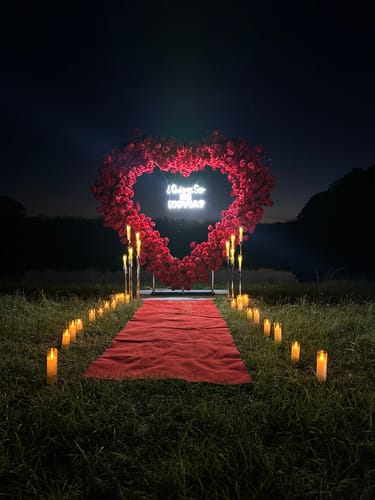 Customer photo review of 8ft Romantic Atmosphere Heart Shaped Red Rose Flower Wall Wedding Decoration Indoor