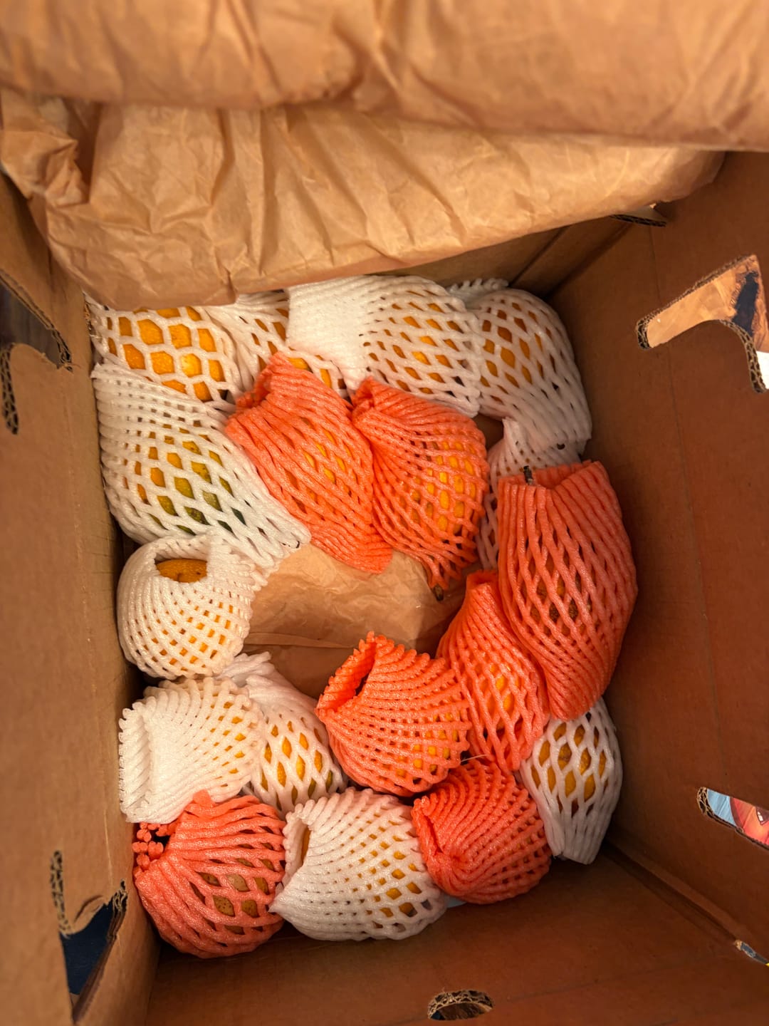 Customer photo review of Granadilla *LIMITED*