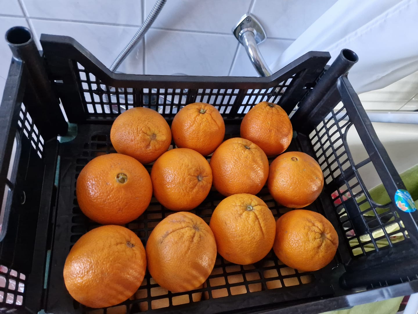 Customer photo review of Orangen Lane Late Bio von Apostolis Kreta 4kg Box