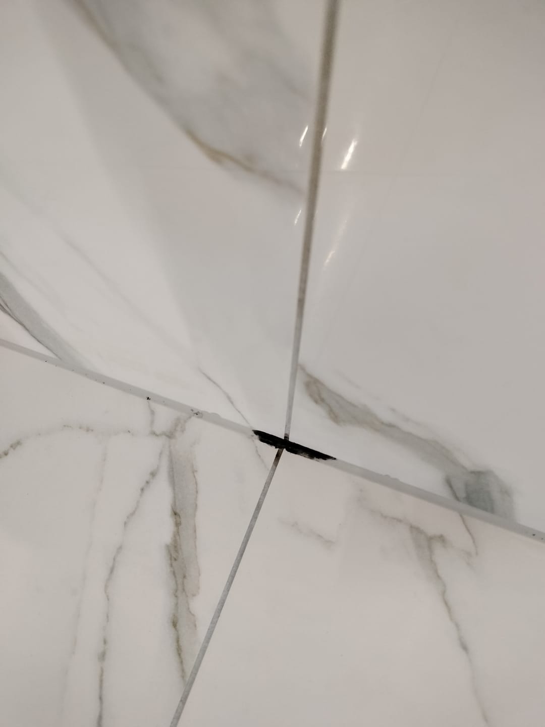 Customer photo review of GLASSGUARD™ Washing Machine Tablet & Mould Remover Bundle
