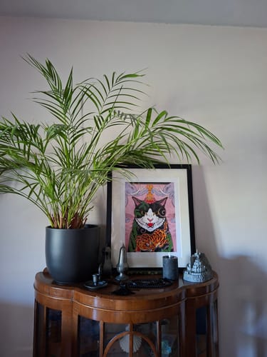 Customer's Framed Elephant Cat Print displayed on a wooden cabinet next to a large houseplant.