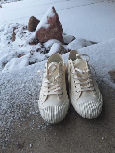 Customer photo review of Grounder Low-Top Sea Salt