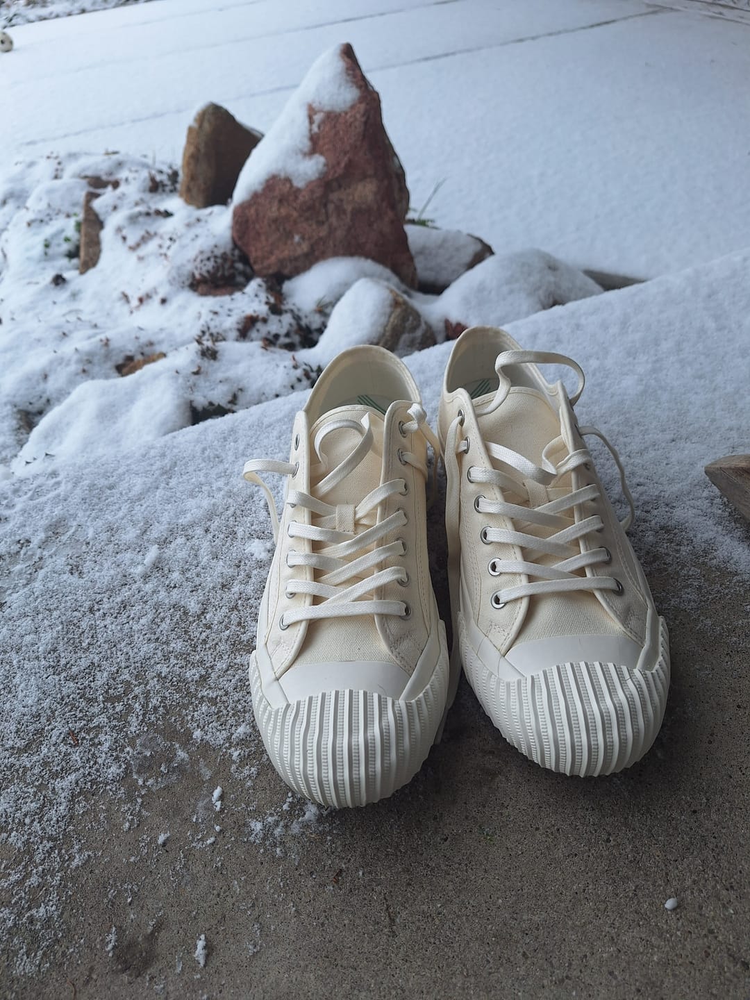 Customer photo review of Grounder Low-Top Sea Salt