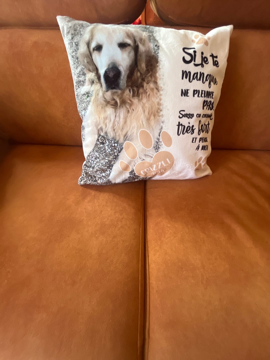 Customer photo review of Si je te manque - Coussin personnalisé