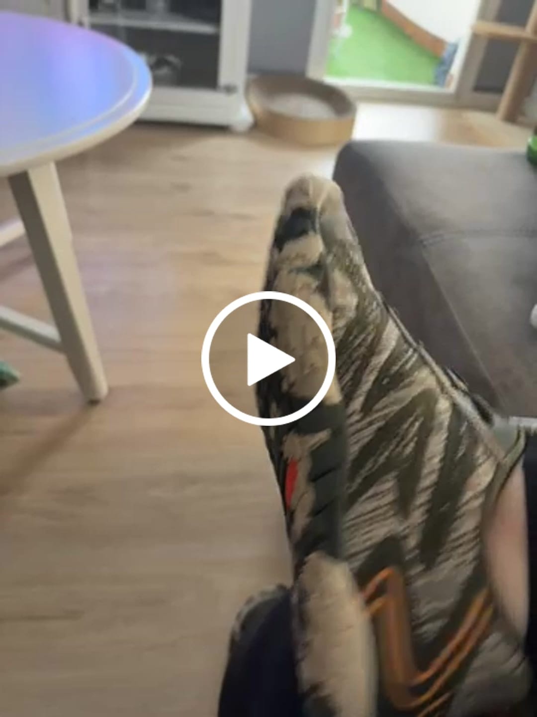 Customer video review of Active II Pro - Zapatos Barefoot