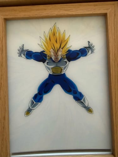 Customer photo review of Ultra instinct