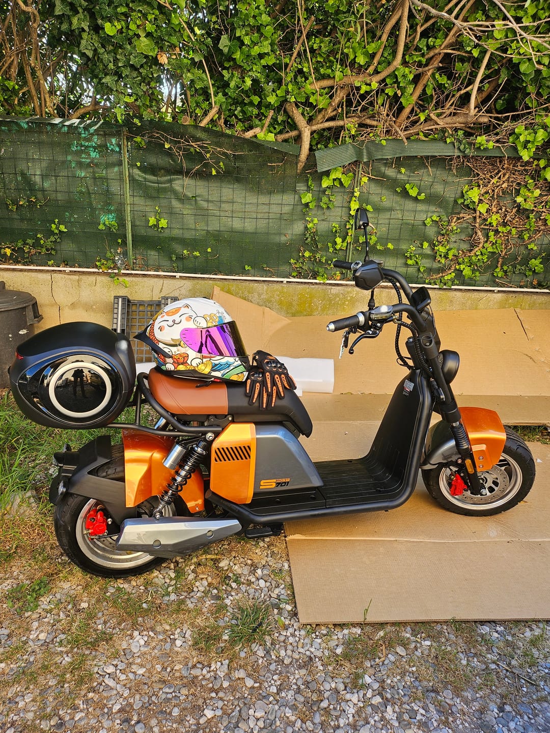 Customer photo review of Top case + support pour Citycoco Super 701