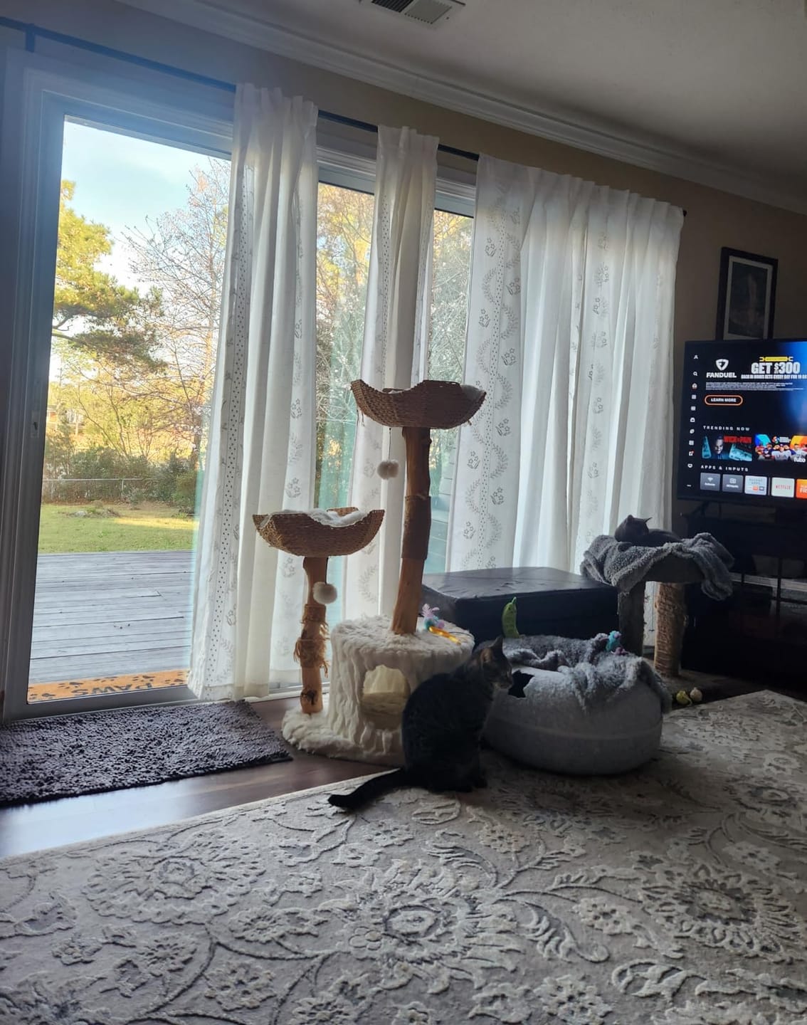 Customer photo review of Embroidered Vine Floral Linen Curtains