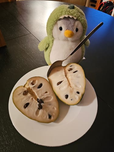 Customer photo review of Cherimoya Bio von Julian