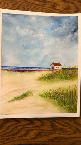Customer photo review of SketchBox Signature Opaque Watercolor 18 colors