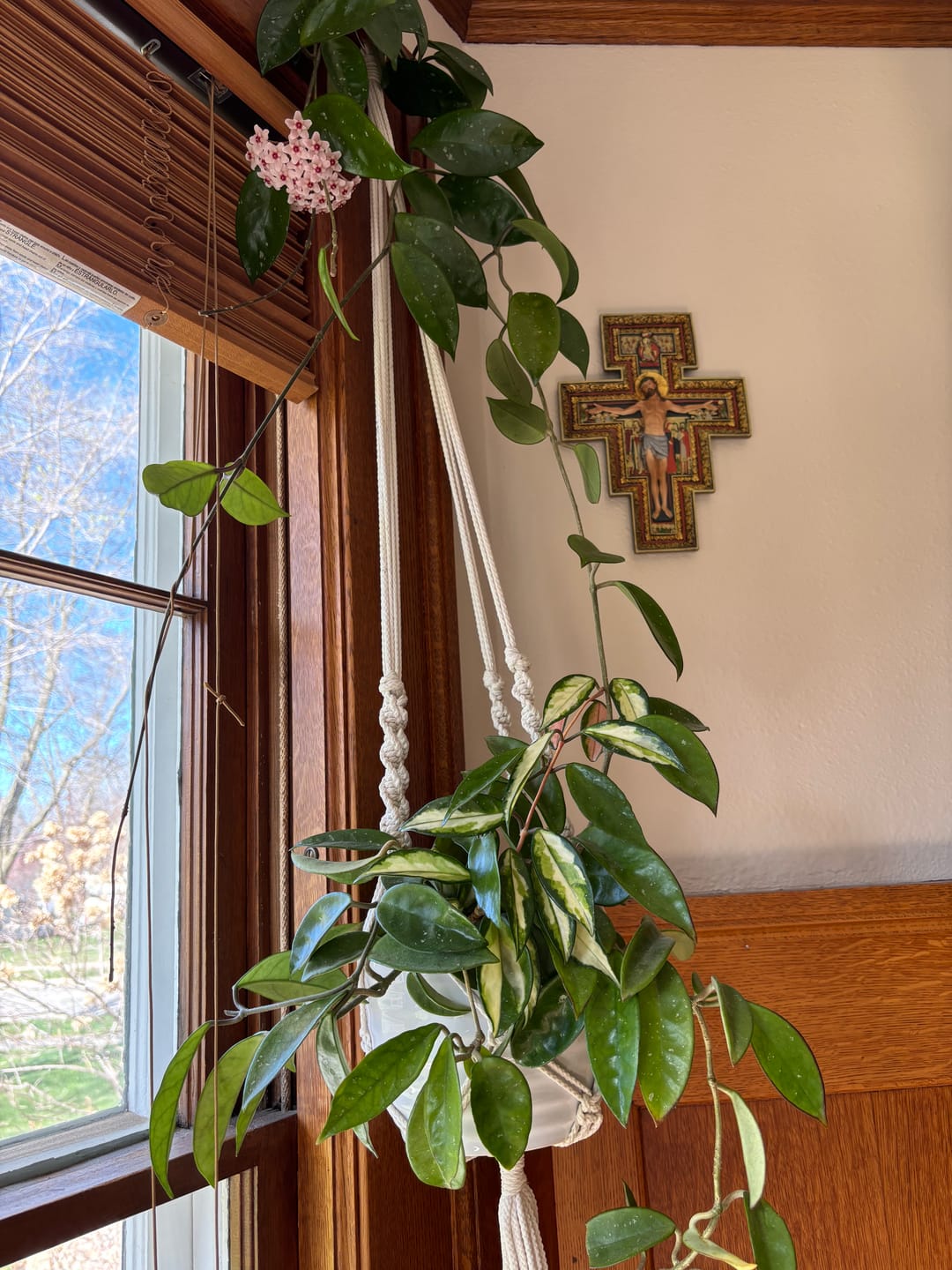 Customer photo review of San Damiano Crucifix