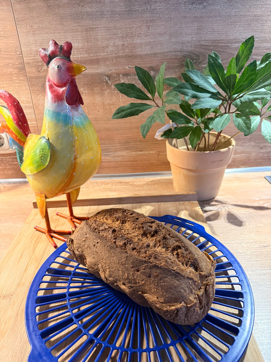 Customer photo review of CLARA - glutenfreie Bio-Brotbackmischung