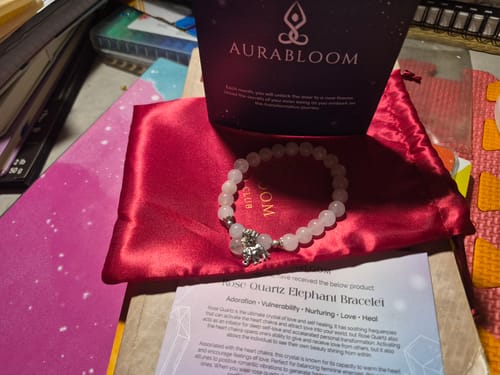 Customer's Rose Quartz Elephant Bracelet from the VIP Crystal Club, shown on its red pouch with packaging.