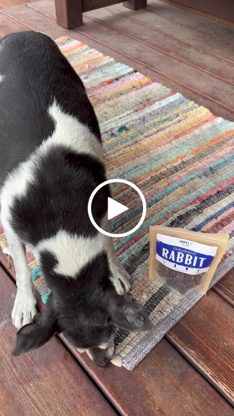 Customer video review of Rabbit, Dehydrated Whole Prey