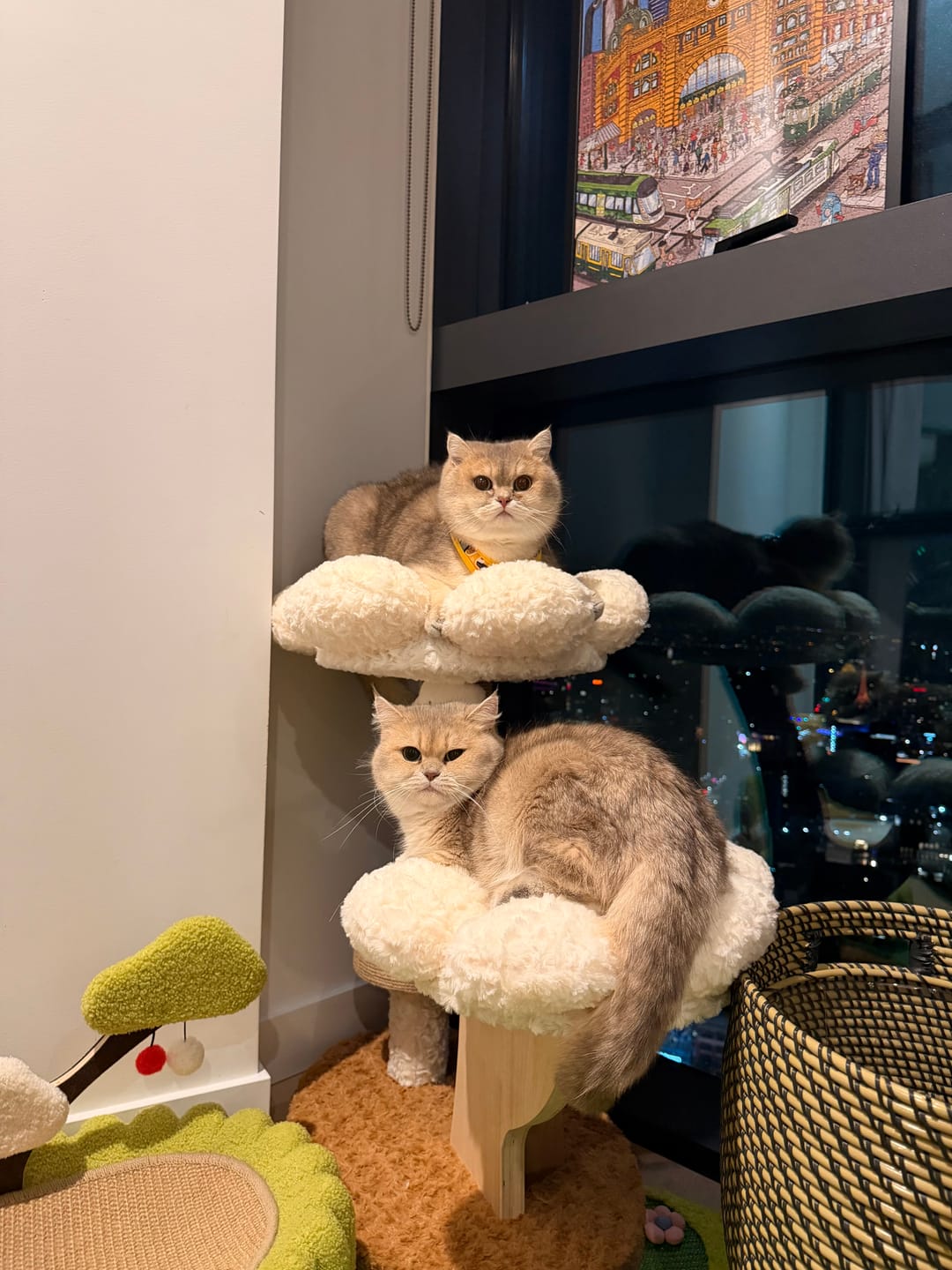 Customer photo review of Flower Series Cat Tree – 2 Platforms