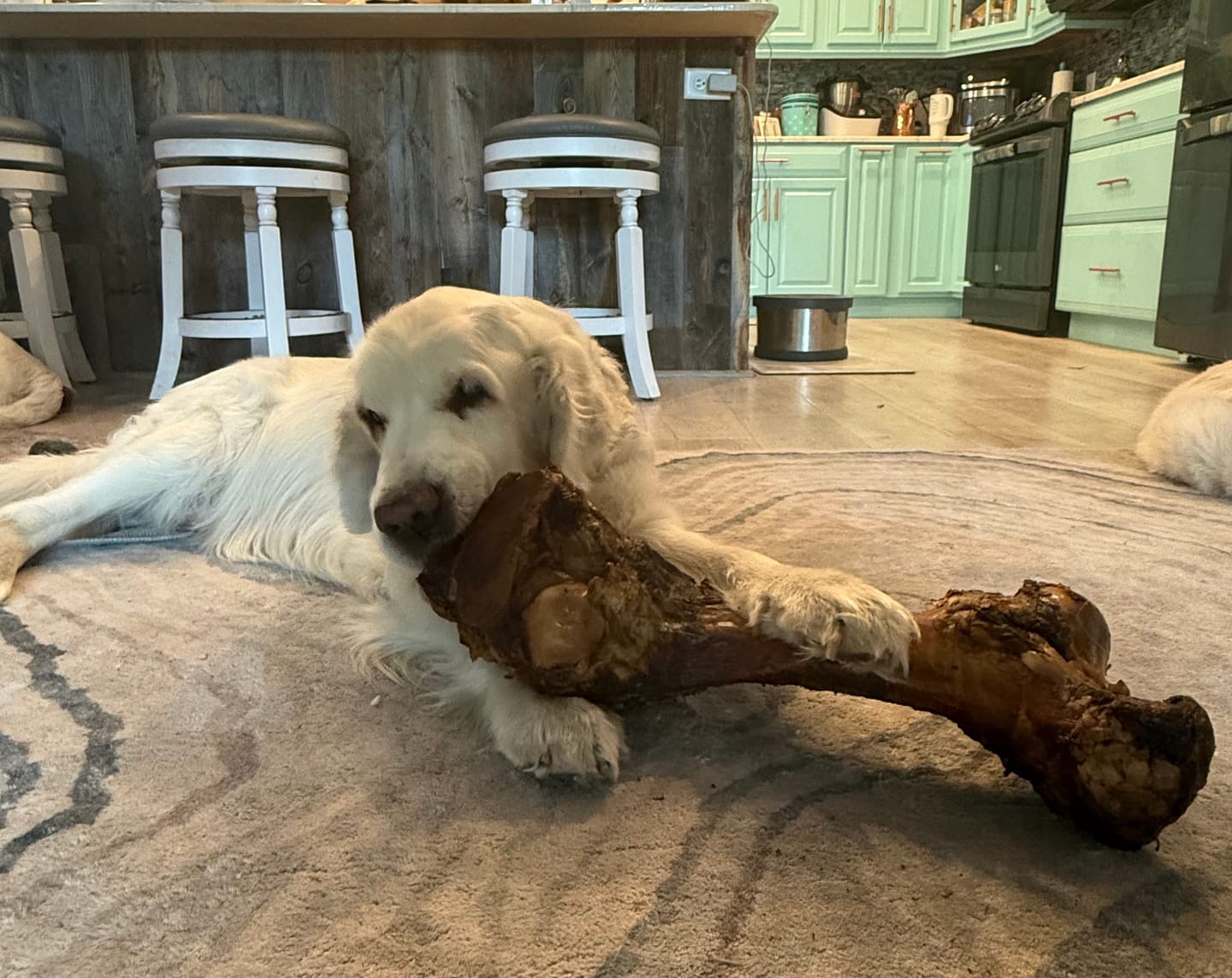 Customer photo review of Smoked Dinosaur Bones