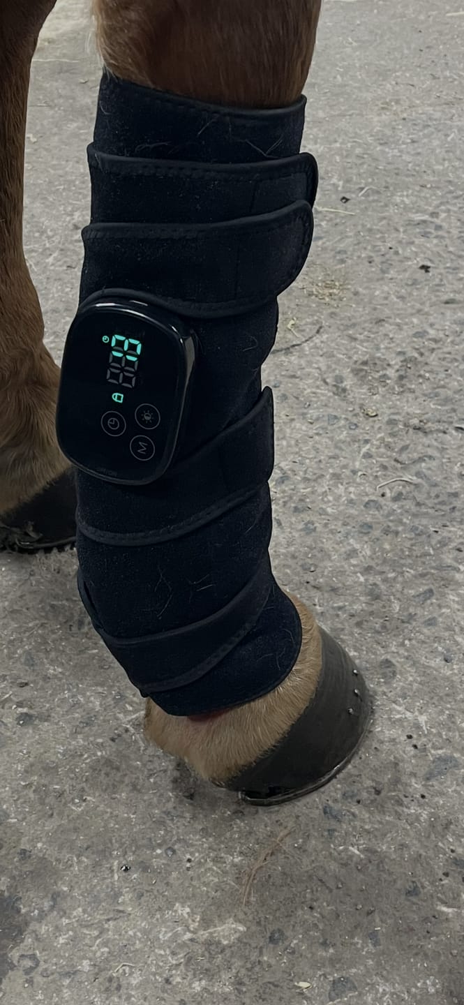 Customer photo review of EquiThera K2 - Rödljusterapi Damasker
