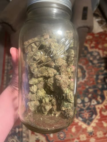 Purple Punch Indoor - Bulk - Indica photo review