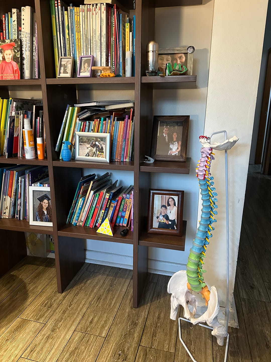 Customer photo review of Columna Vertebral Color Escala Humana Fémur