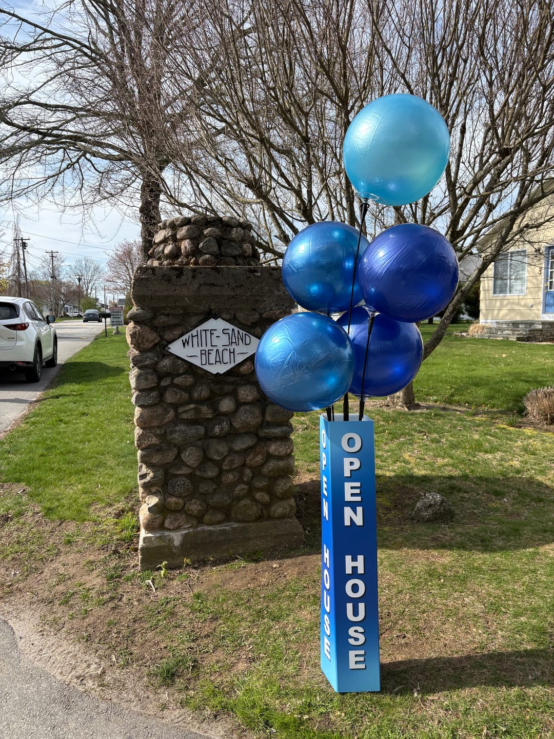 Customer photo review of DuraBalloon® 5-Balloon Cluster Pole Kit - with 4-Sided Pole Cover