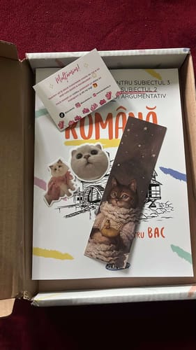 Recenzie cu fotografie de la un client despre Carte Română Bacalaureat Bacademia (temă și viziune, caracterizare, relație) - Ediția II