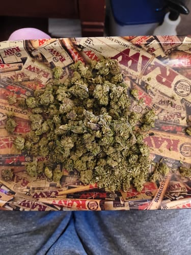 Customer photo review of Raspberry Kush - Minis - 28 Grams - Indica