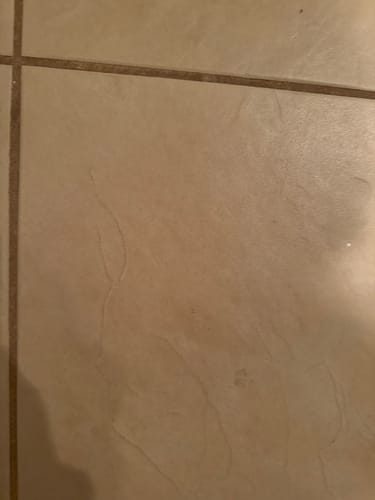 Close-up of a customer's clean beige tile floor and grout, showing the result of using the Deep Cleaning Brushes.