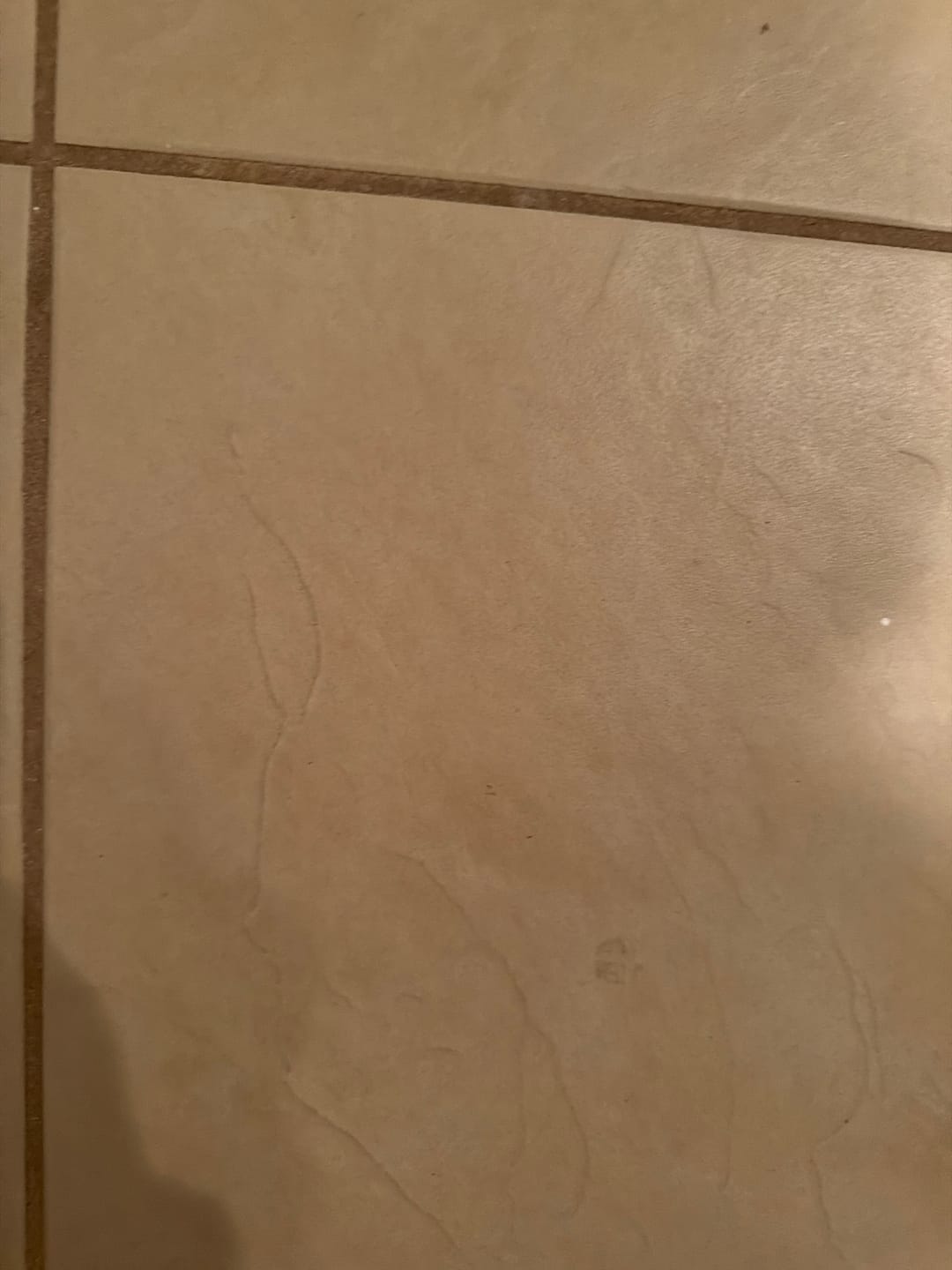 Customer photo review of Deep Cleaning Brushes 3-Pack
