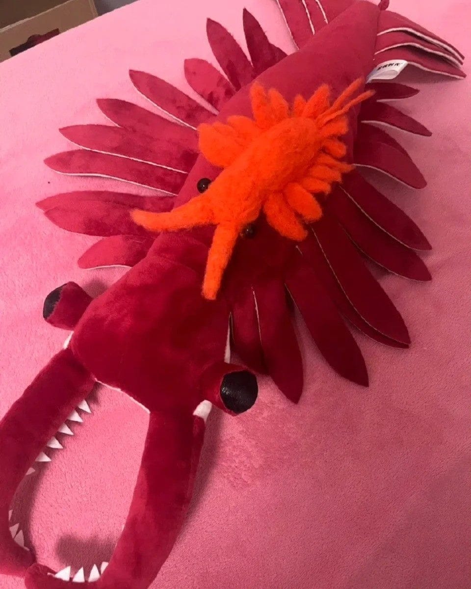 Customer photo review of Anomalocaris Plush – Soft, Realistic Cambrian Predator Toy for Prehistoric Fans