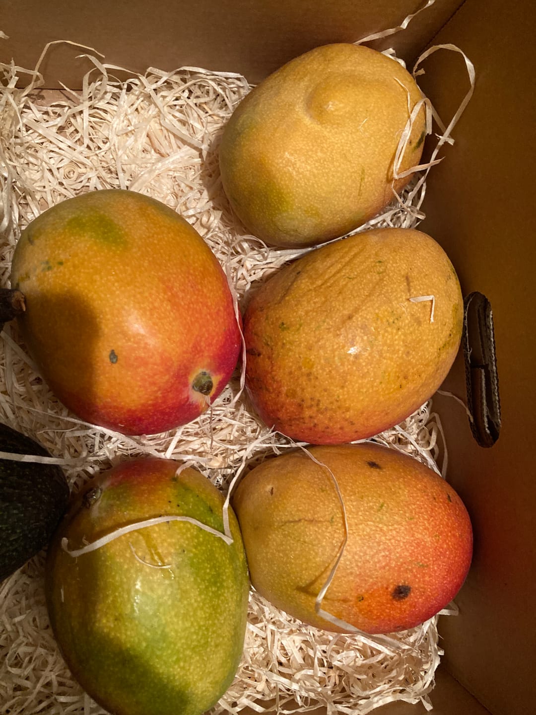 Customer photo review of Mango Haden Bio baumgereift Sonderaktion %