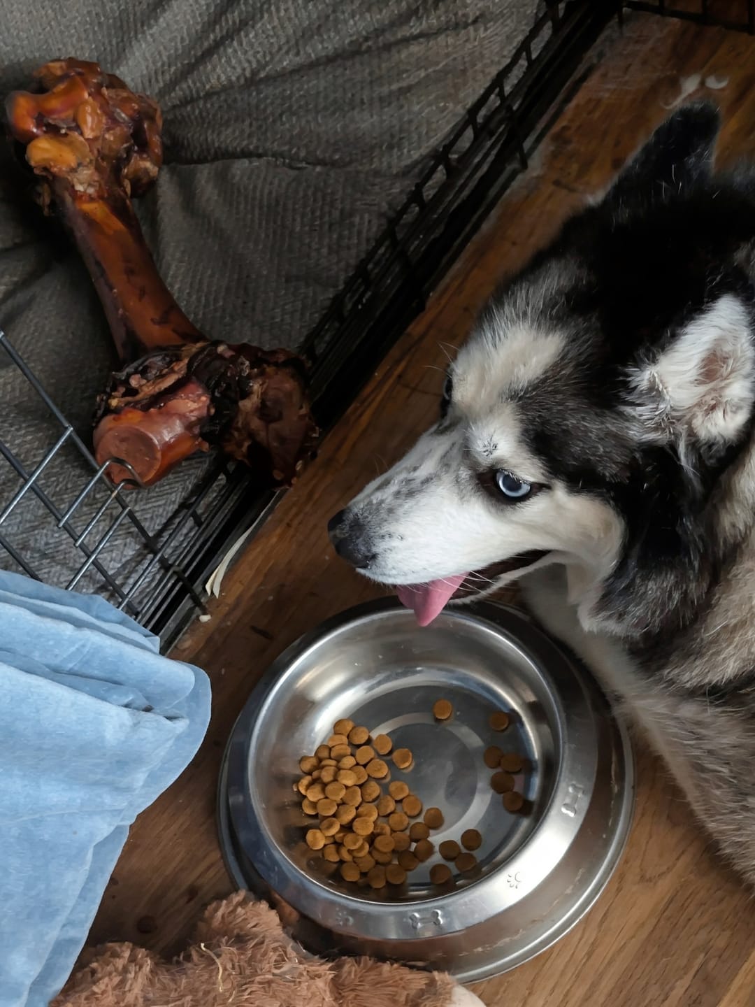 Customer photo review of Beef Gullet Jerky Sticks 6"