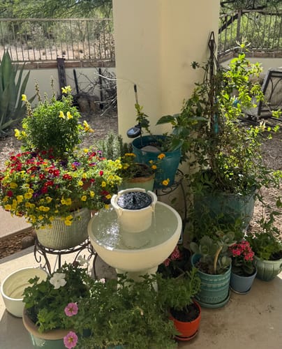Customer photo review of Lecce Cordless Fountain