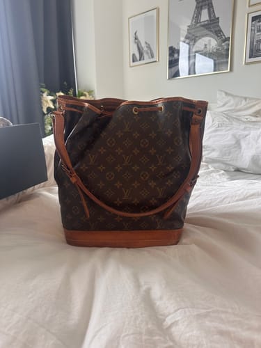 Customer photo review of Noé
