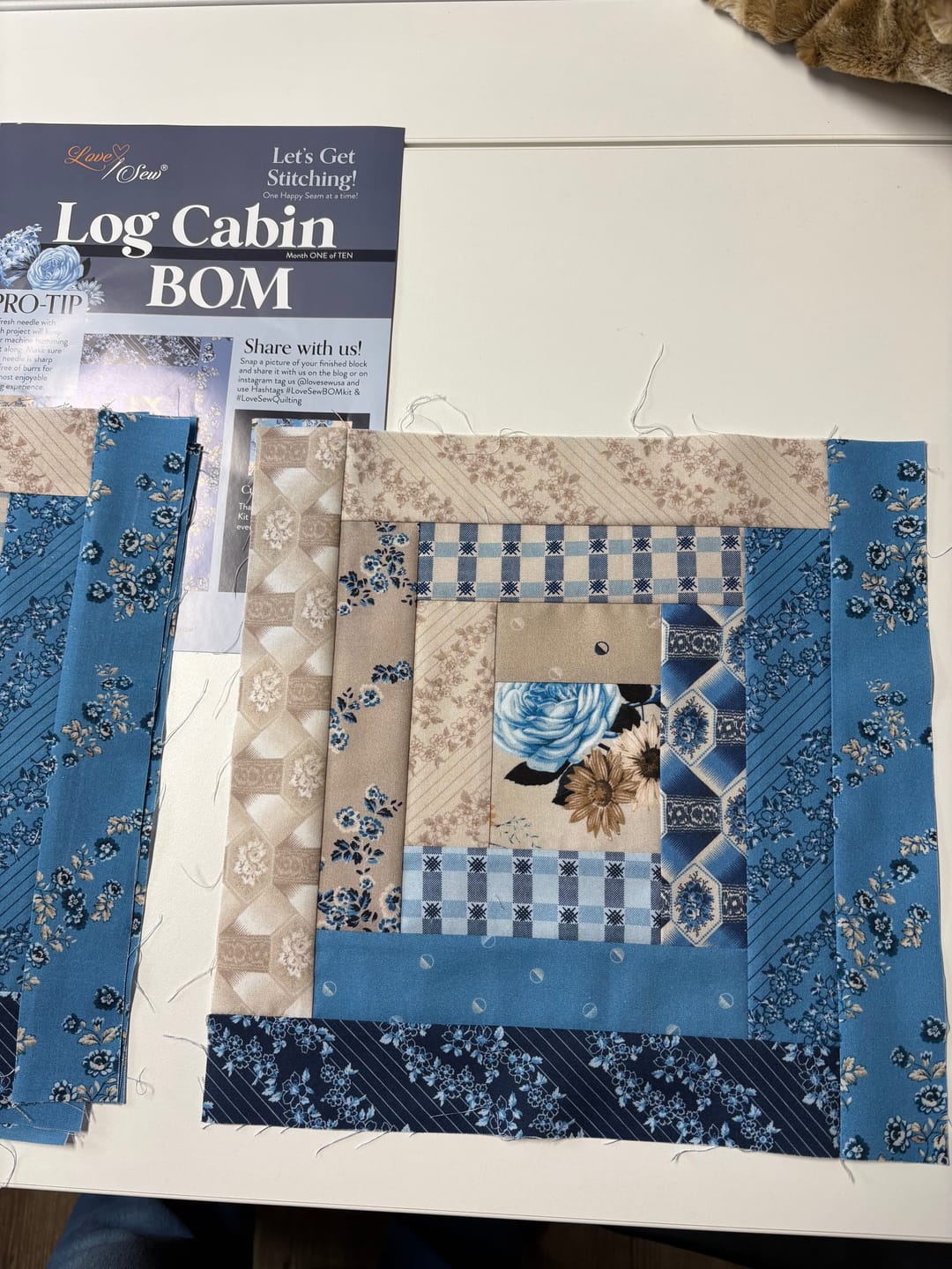 Customer photo review of Block Of The Month - Log Cabin Bellflower (98.5" x 98.5")
