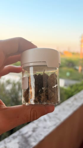 Customer holding a small, clear jar of CALI MIX AAA+ buds outdoors at sunset.