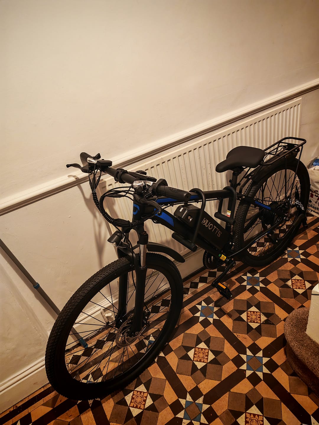 Customer photo review of DUOTTS C29 Electric Bike Ship to UK