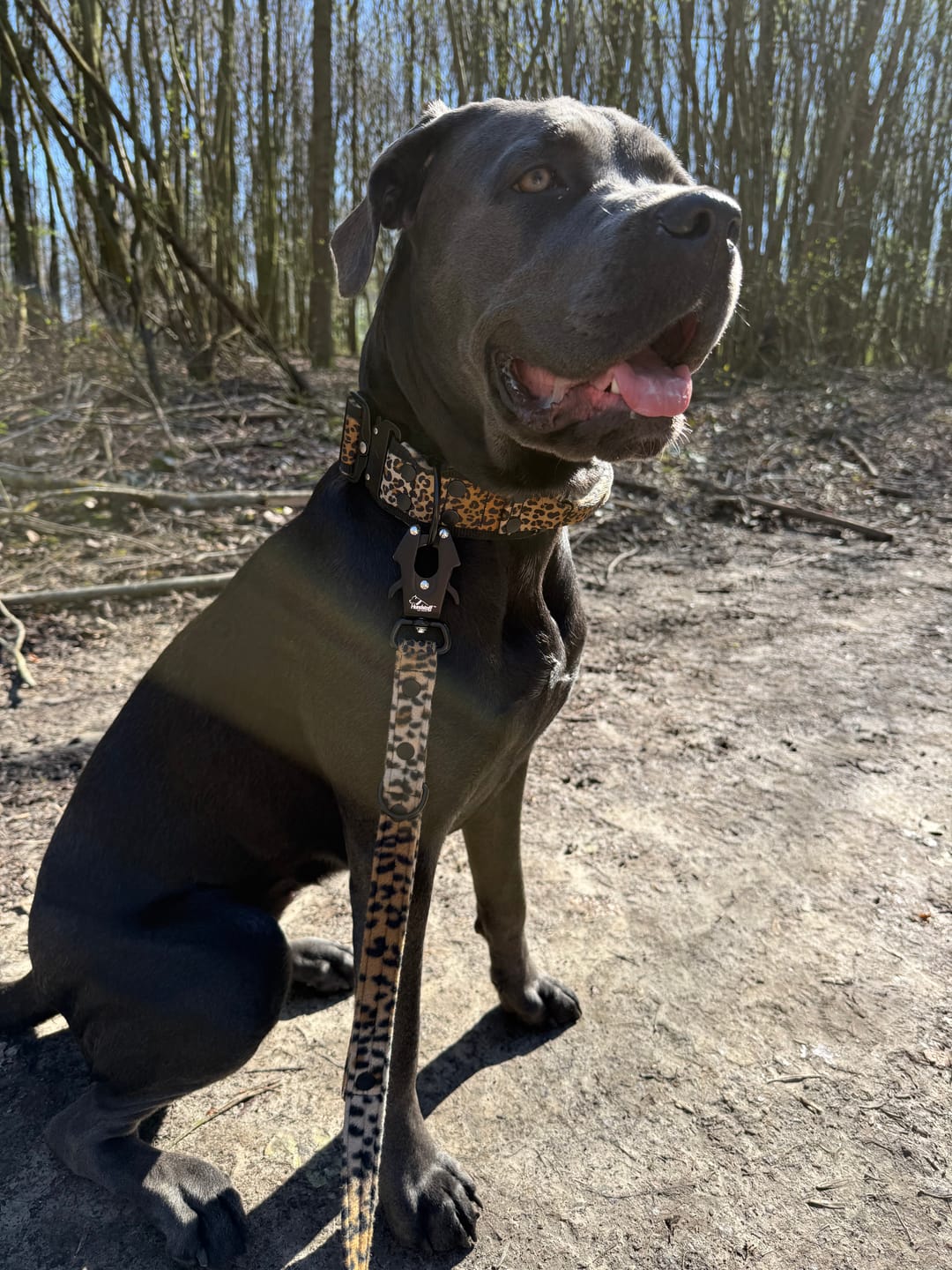Customer photo review of Multileash Leopard - Multifunktionellt koppel