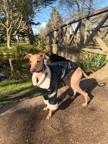 Customer photo review of Polyurethane Jacket