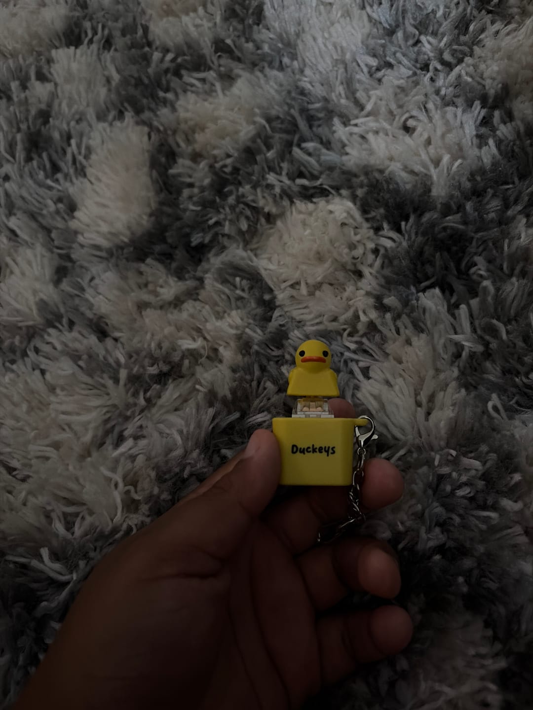 Customer photo review of Quackey - Fidget Toy that Quacks!