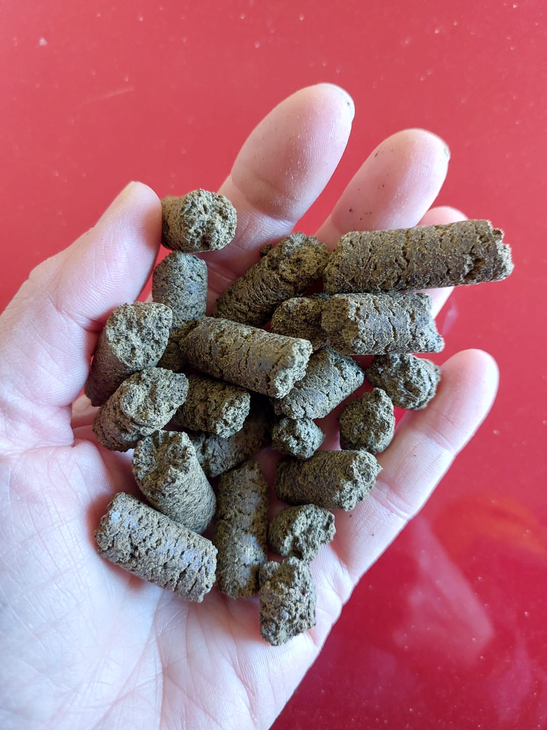 Customer photo review of PFERDESTARK Premium Bio Hanfpellets für Pferde Pferdefutter getreidefrei Mineralfutter 10kg Beutel Hanfpresskuchen