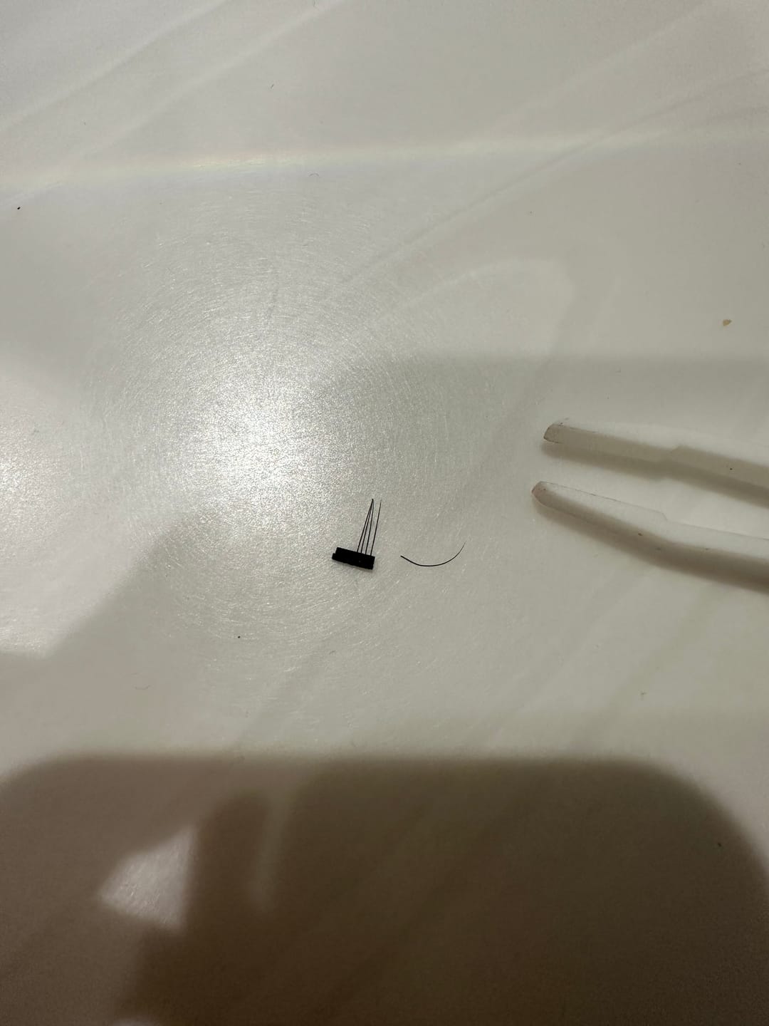 Customer photo review of COPENHAGEN - Clip On Lashes