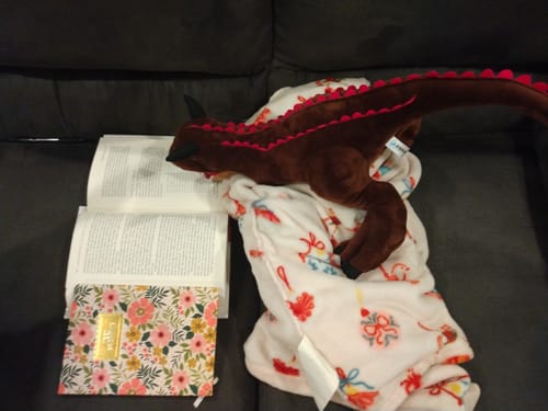Customer photo review of Carnotaurus Dinosaur Plush Toy – Realistic and Soft Stuffed Prehistoric Animal for Jurassic Fans